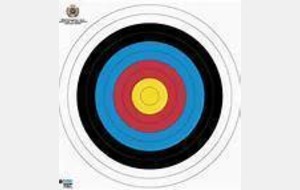 Pratiquer le tir à l'arc en 2013-2014