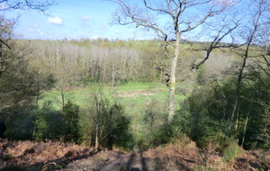 Championnat de Normandie Field 2016 - Conches en Ouche