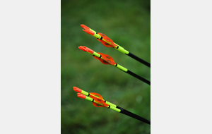 Reprise de l'activité