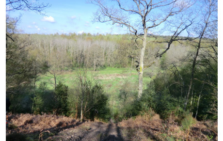 Championnat de Normandie Field 2016 - Conches en Ouche
