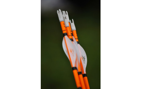 Annulation du passage de flèches du 29 avril