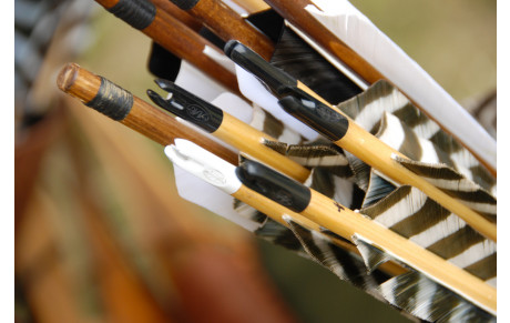 Assemblée Générale 2019 et renouvellement du bureau